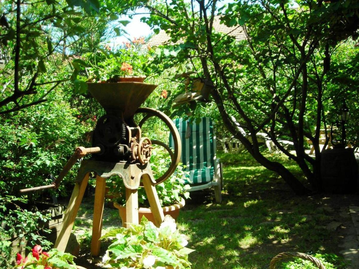 Cuinzier Gite Charmant Avec Jardin Privatif, Proche Sites Historiques Et Activites De Plein Air - Fr-1-496-183 מראה חיצוני תמונה